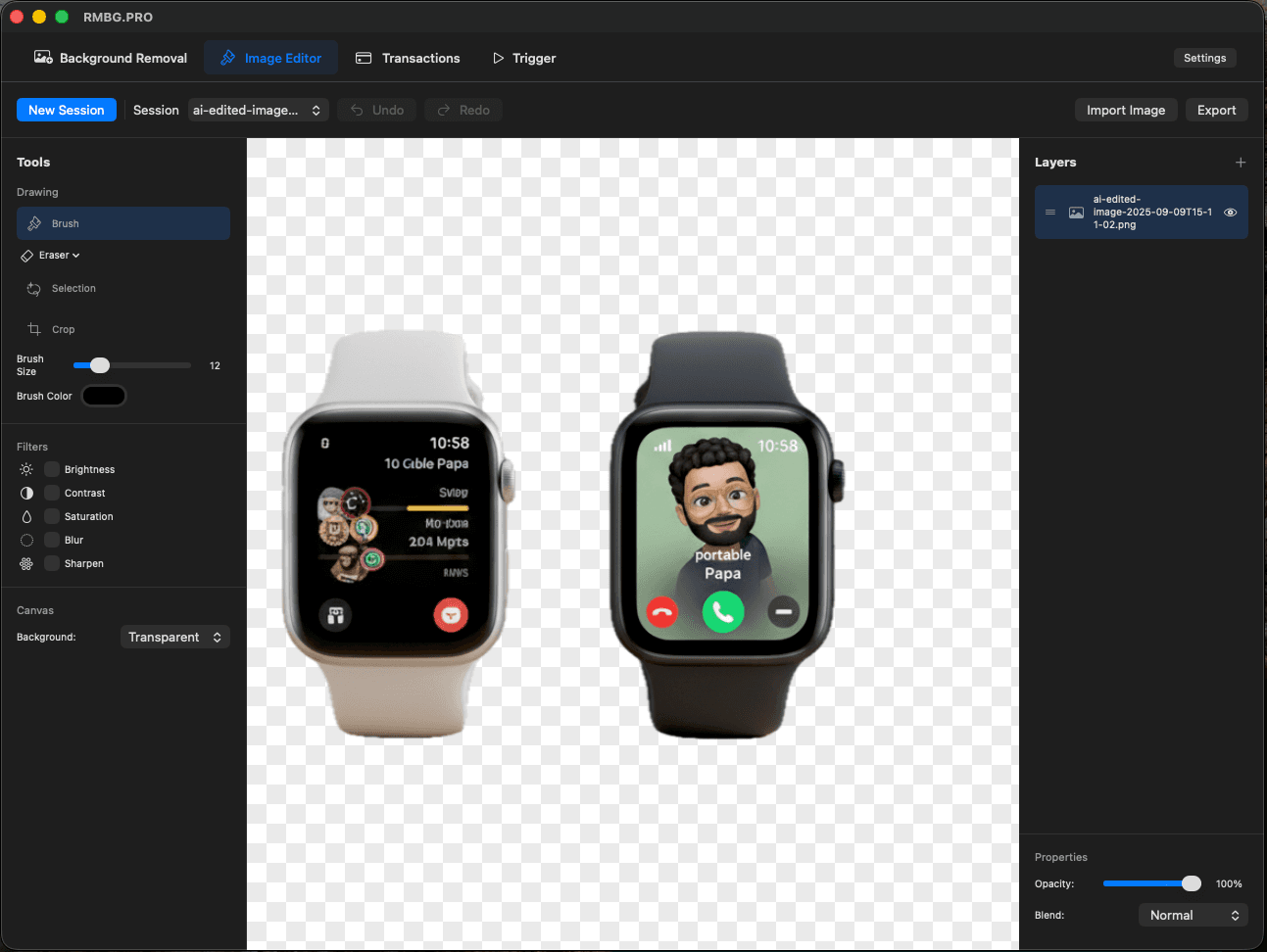 Bulk Processing in RMBG PRO