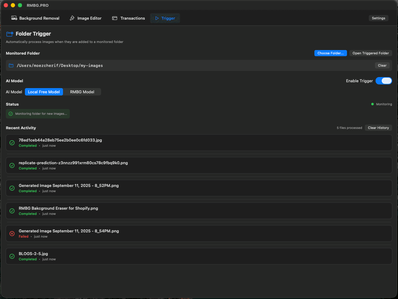Results Preview in RMBG PRO