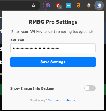 RMBG Pro Extension Settings and Toggle