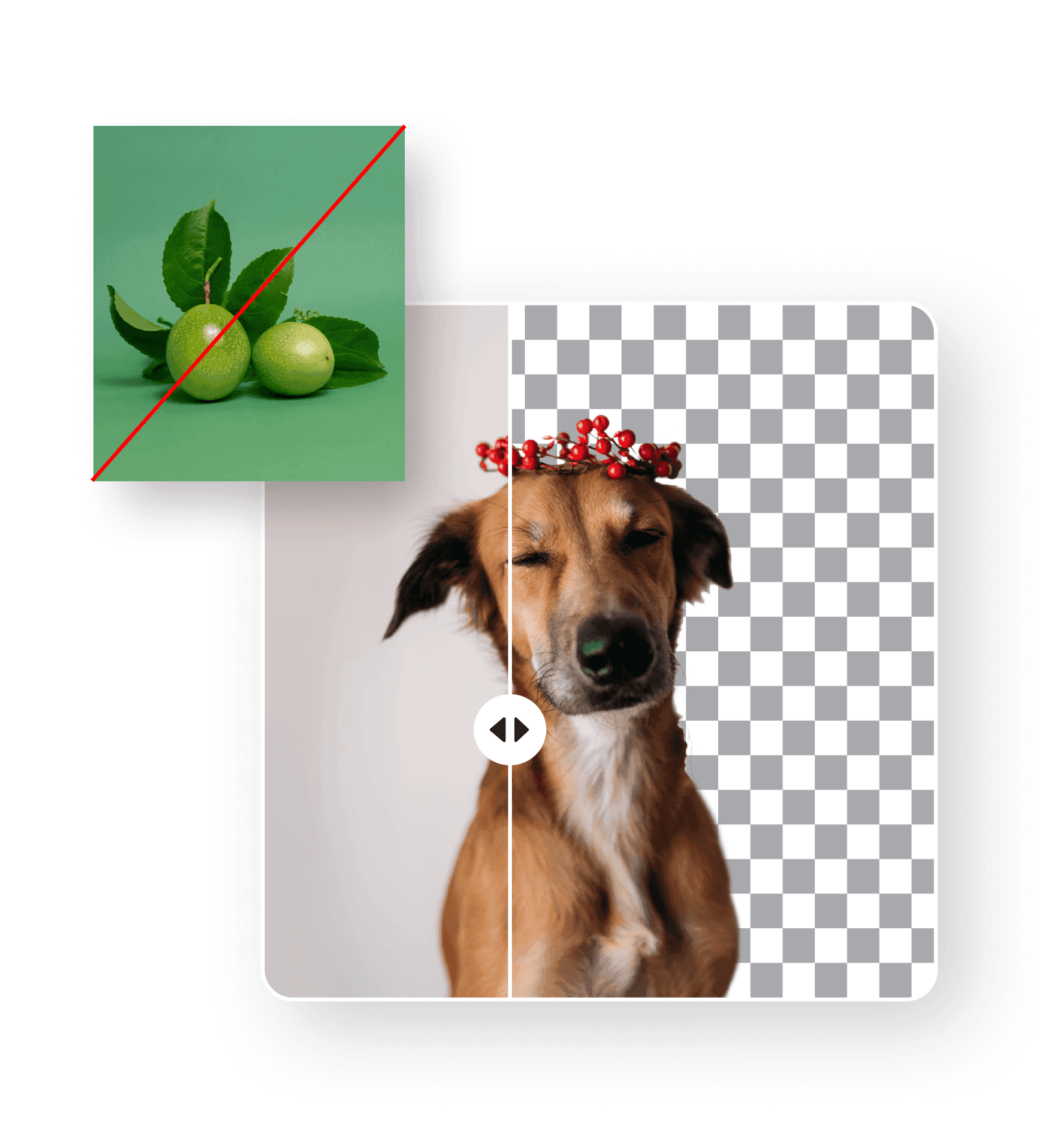 Developer image processing tool - API background removal benchmark