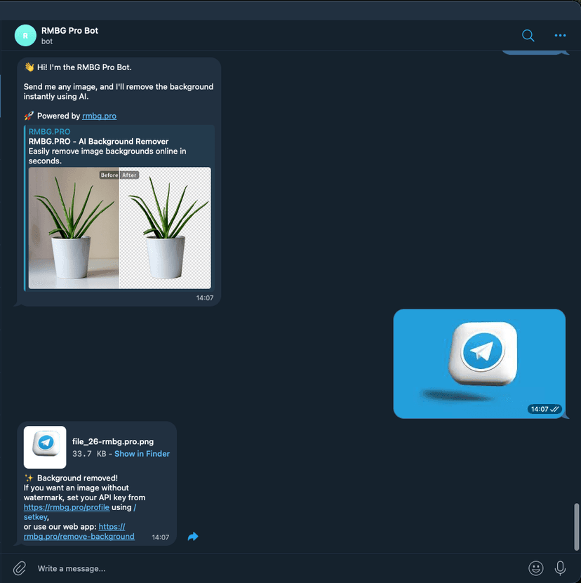 Telegram Bot Character